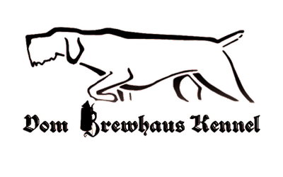 intrologo